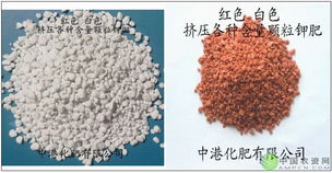 圓顆粒鉀肥 現代農業生產中的重要鉀肥形態
